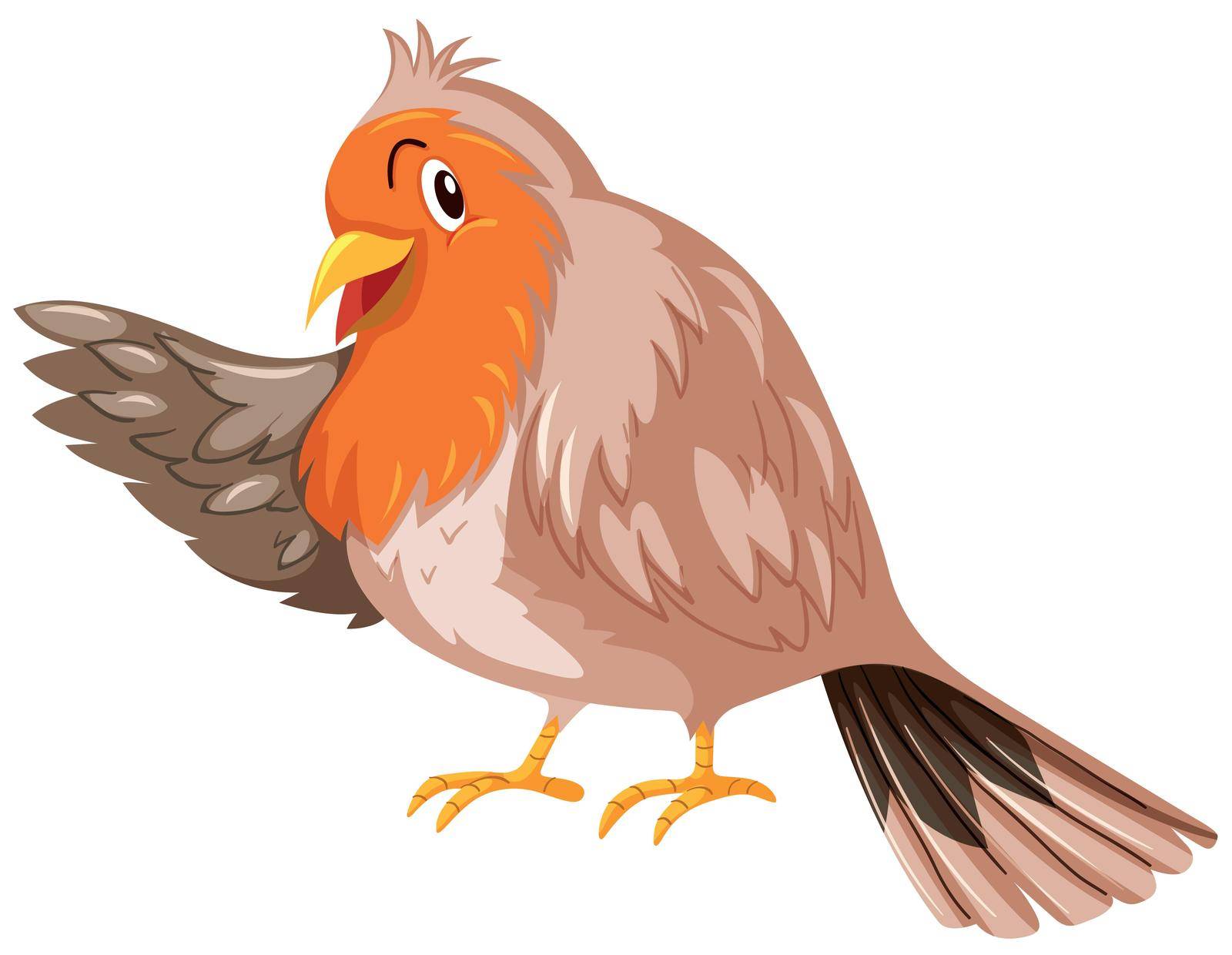 Bird with brown feather illustration