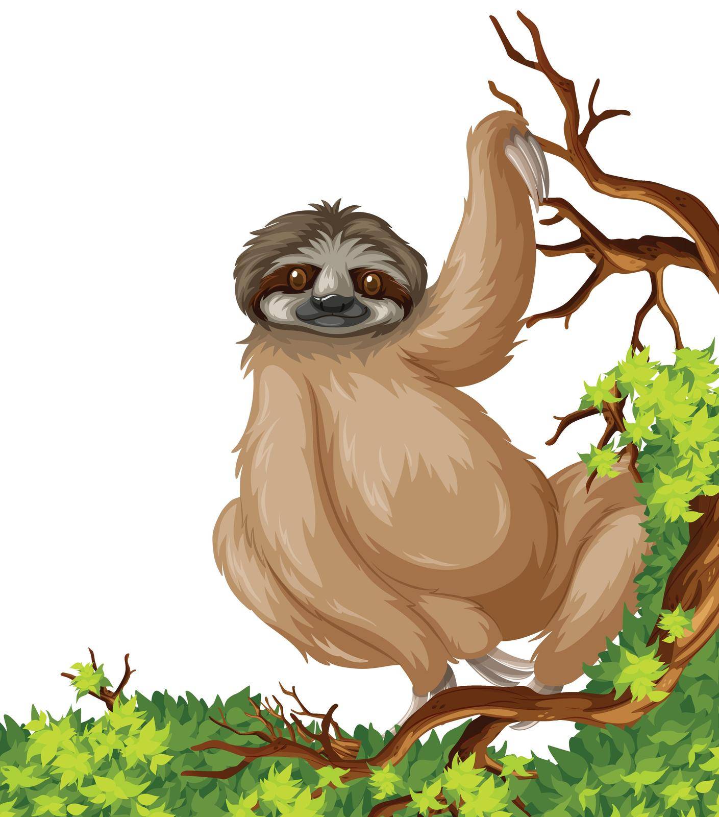 Cute sloth on branch illustration