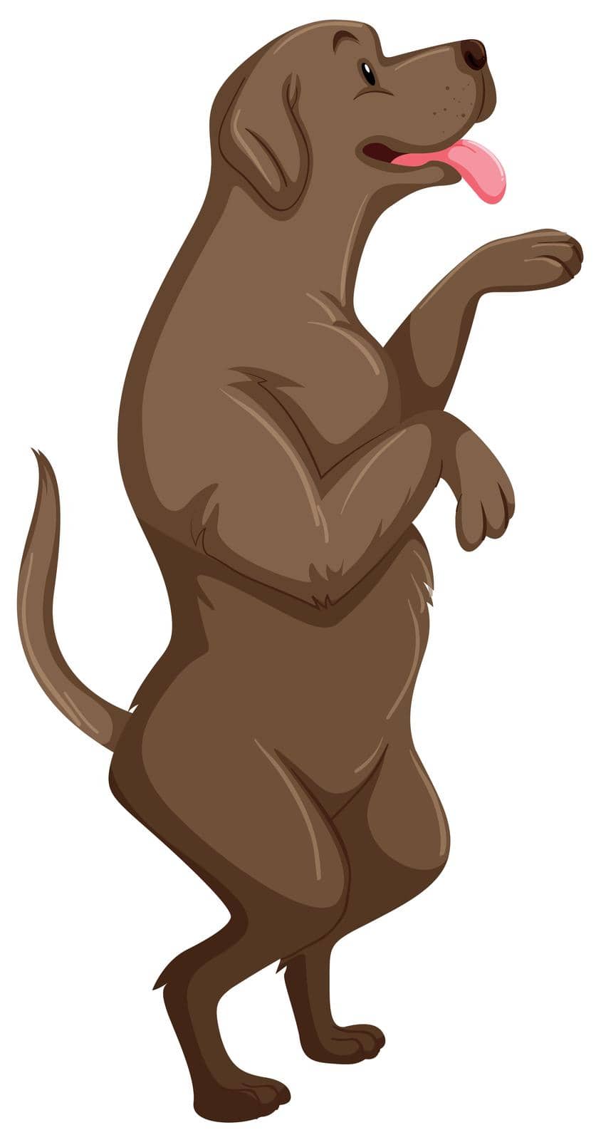 Little dog with gray fur illustration