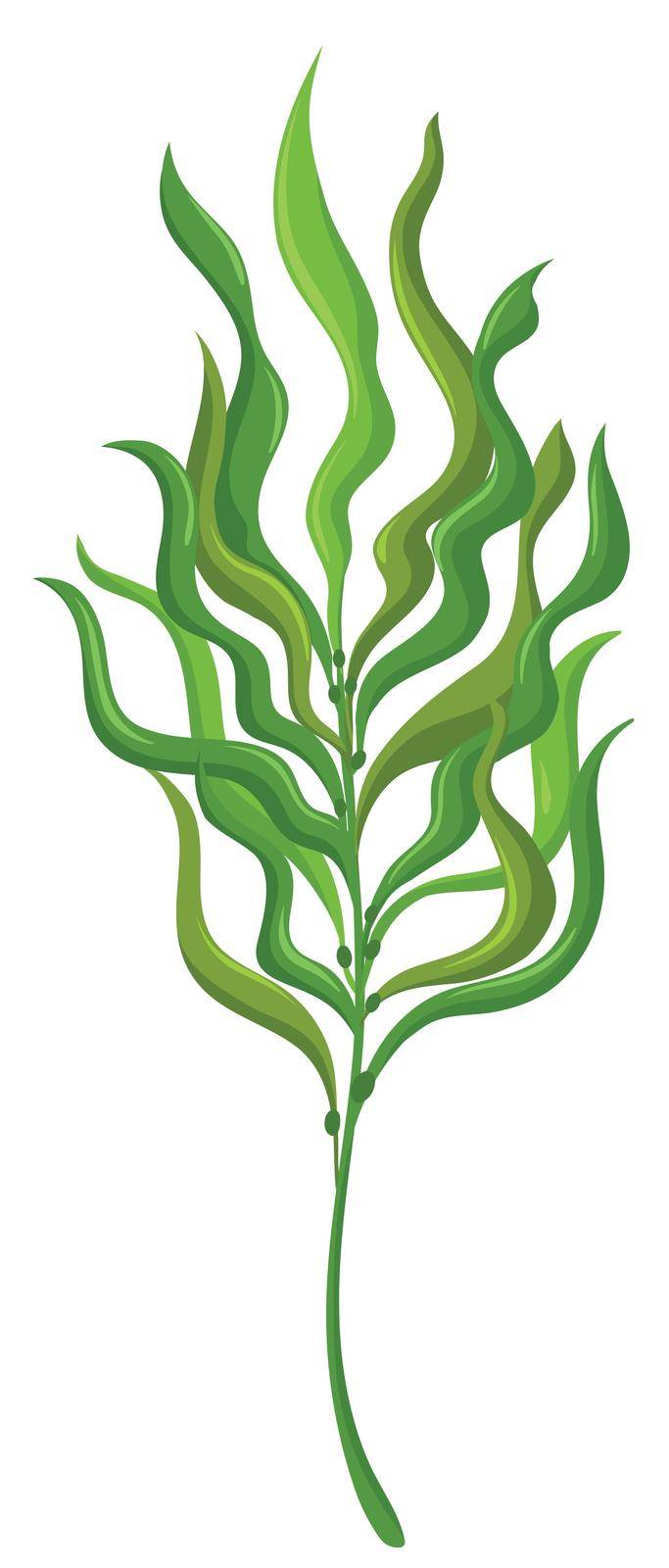 Plant with long leaves illustration