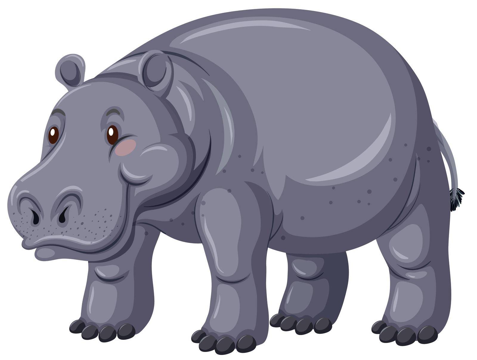 Hippo with gray skin illustration