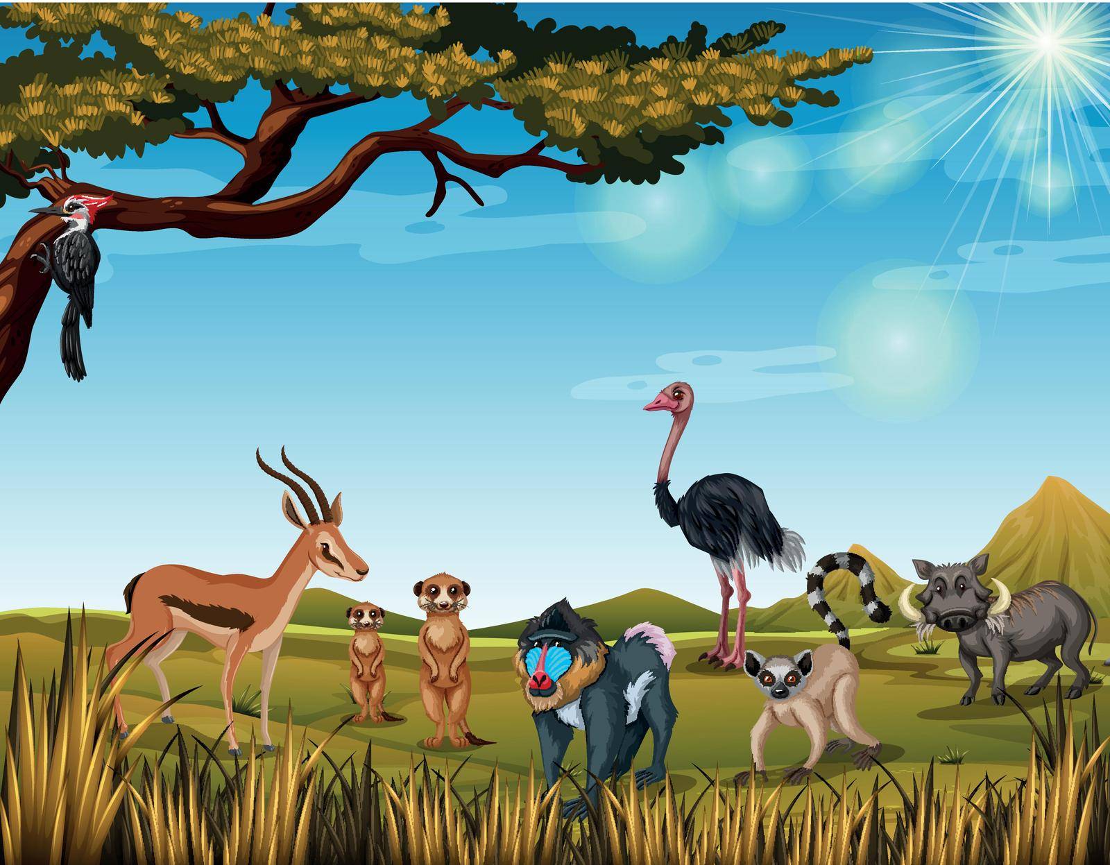 Animals in the open safari illustration