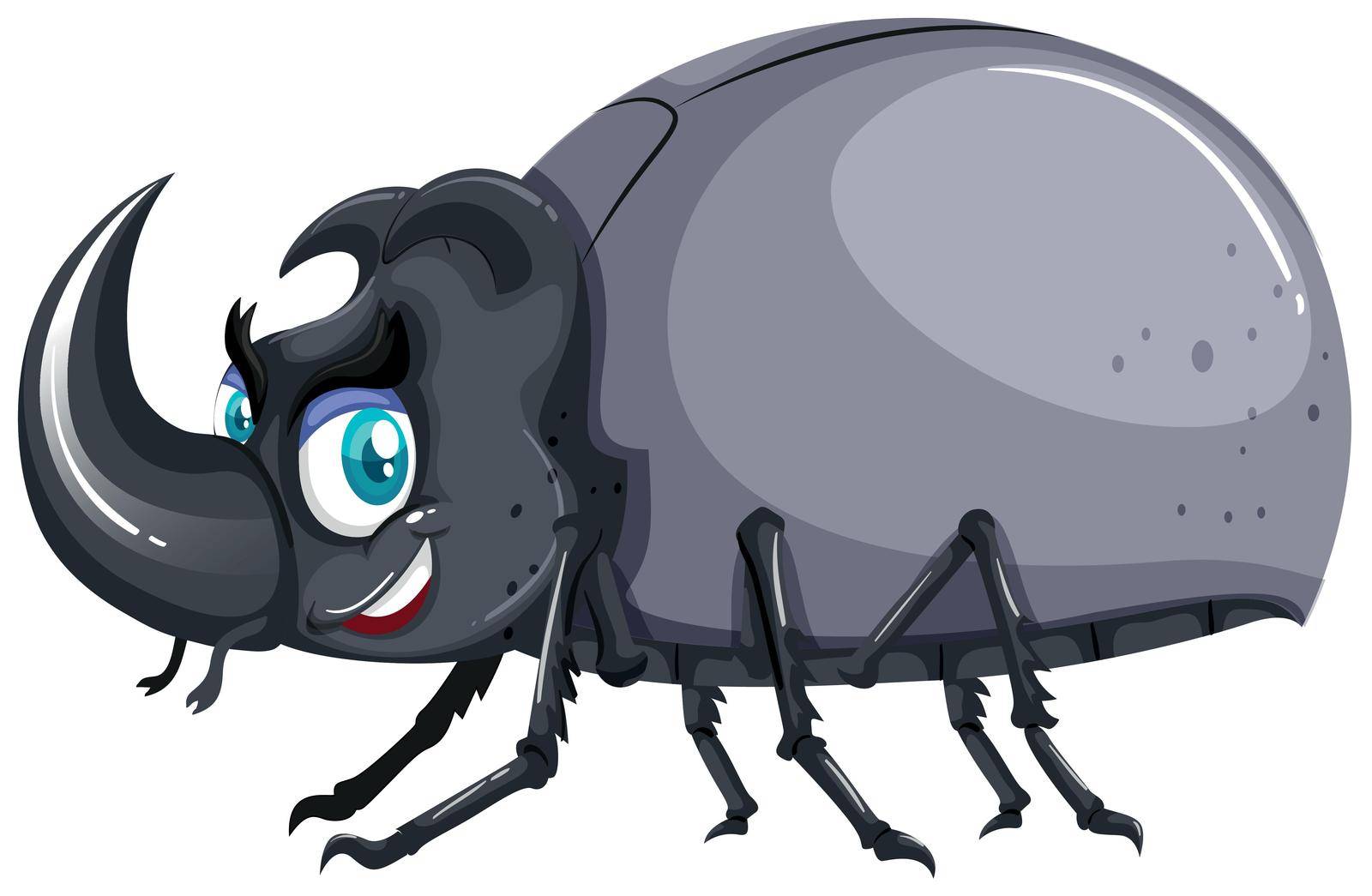 Beetle with gray wings illustration