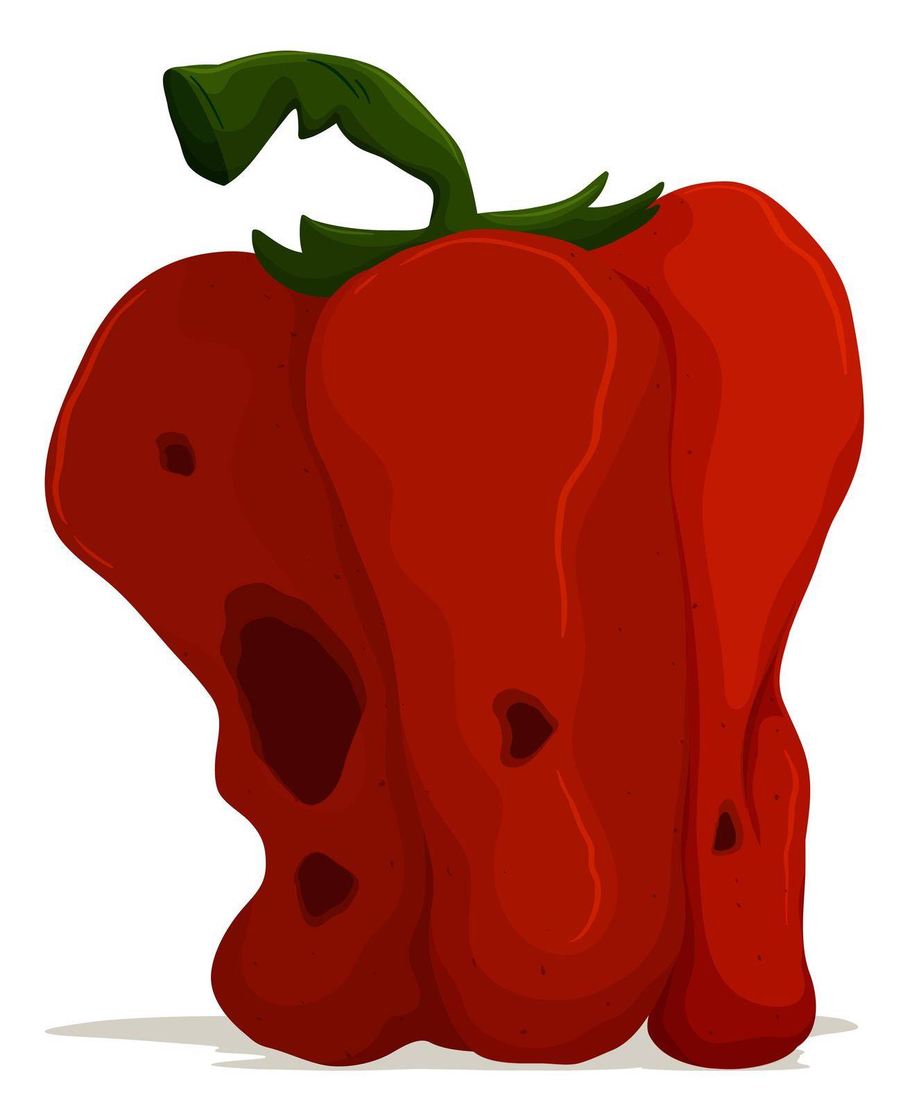 Rotten bell pepper on white background illustration