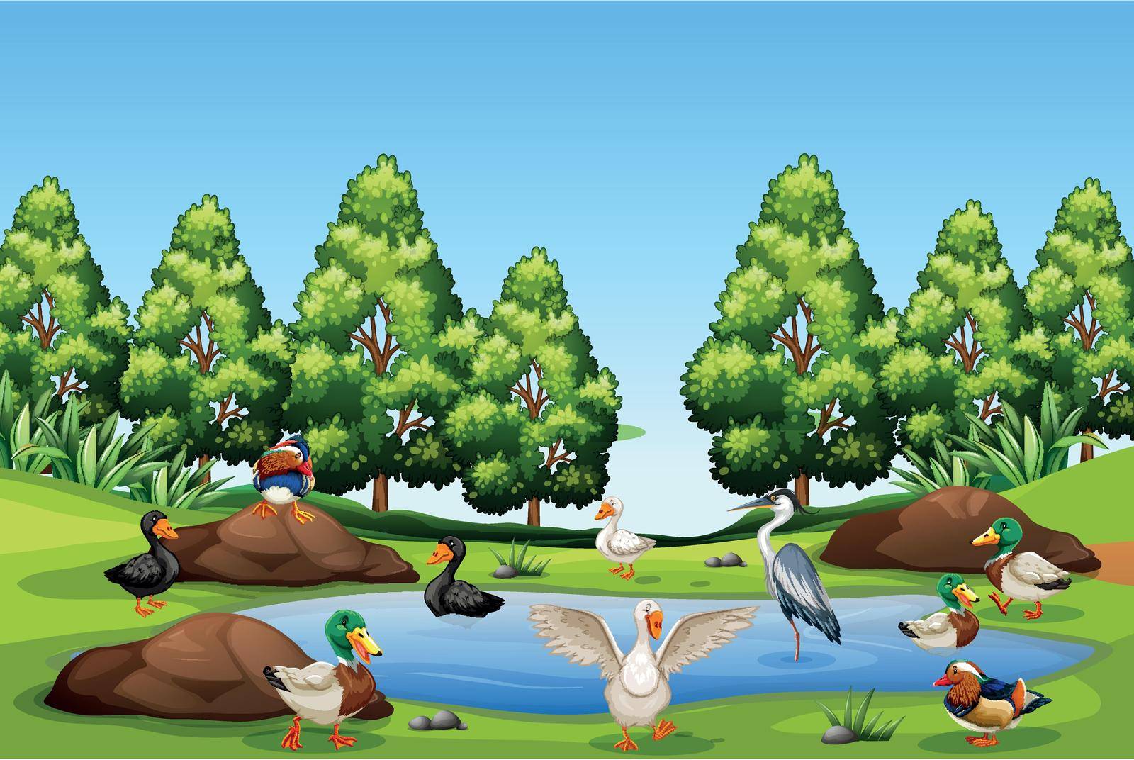 Many bird in nature illustration