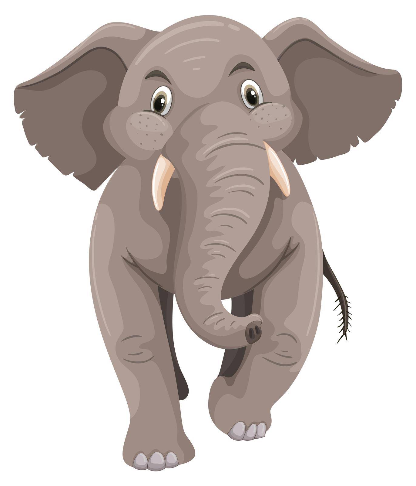 Baby elephant with gray skin illustration
