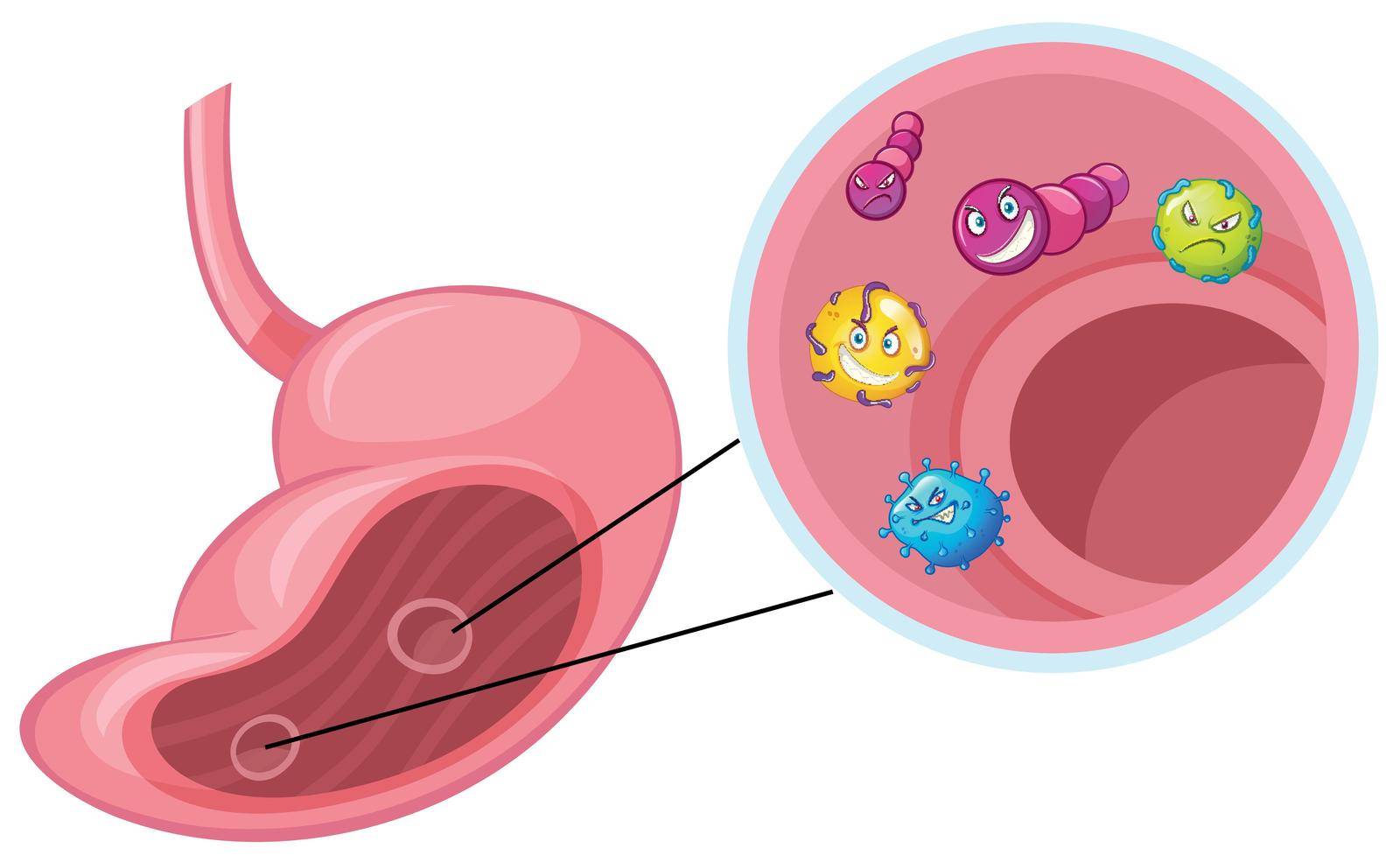 Many virus in human stomach illustration