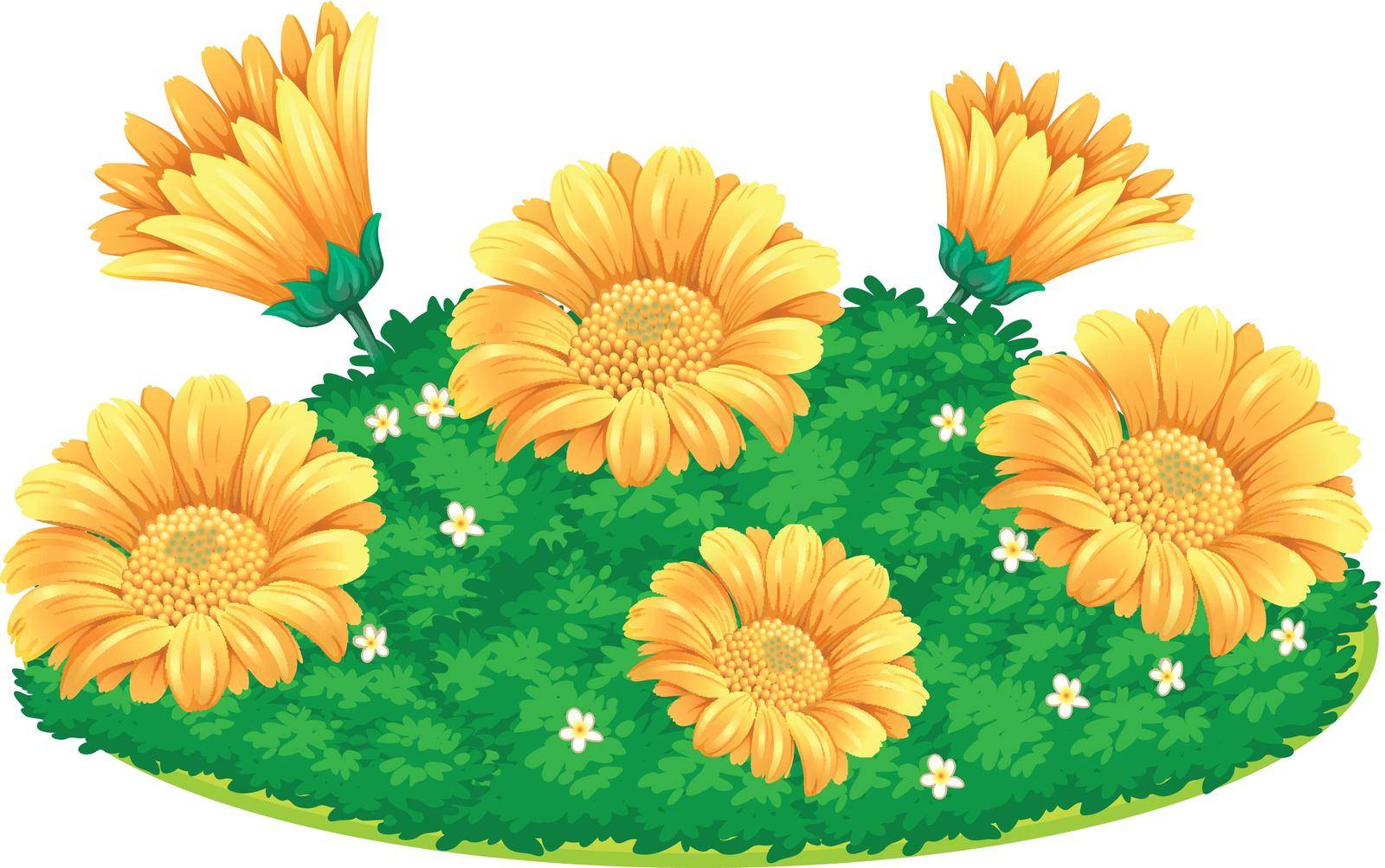 Calendular flowers in bush illustration