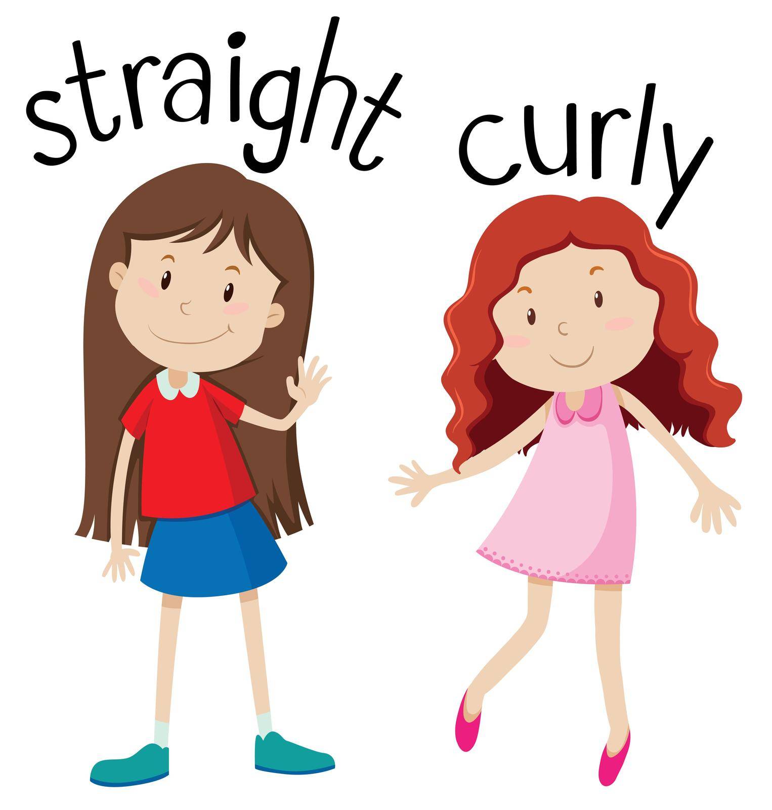 Opposite wordcard for straight and curly illustration