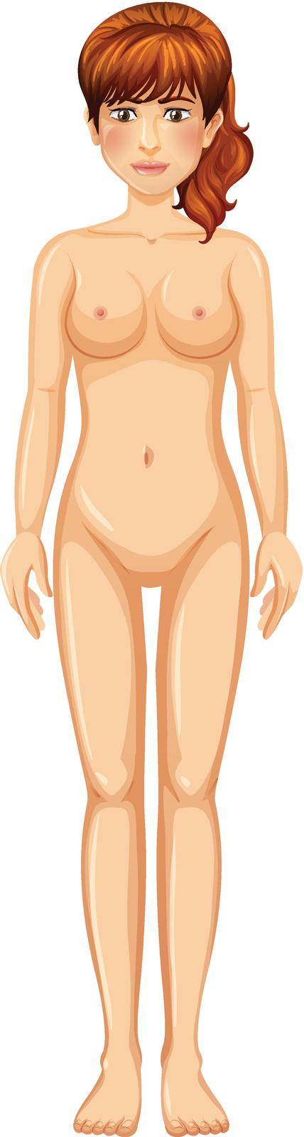 A Woman Body on White Background illustration