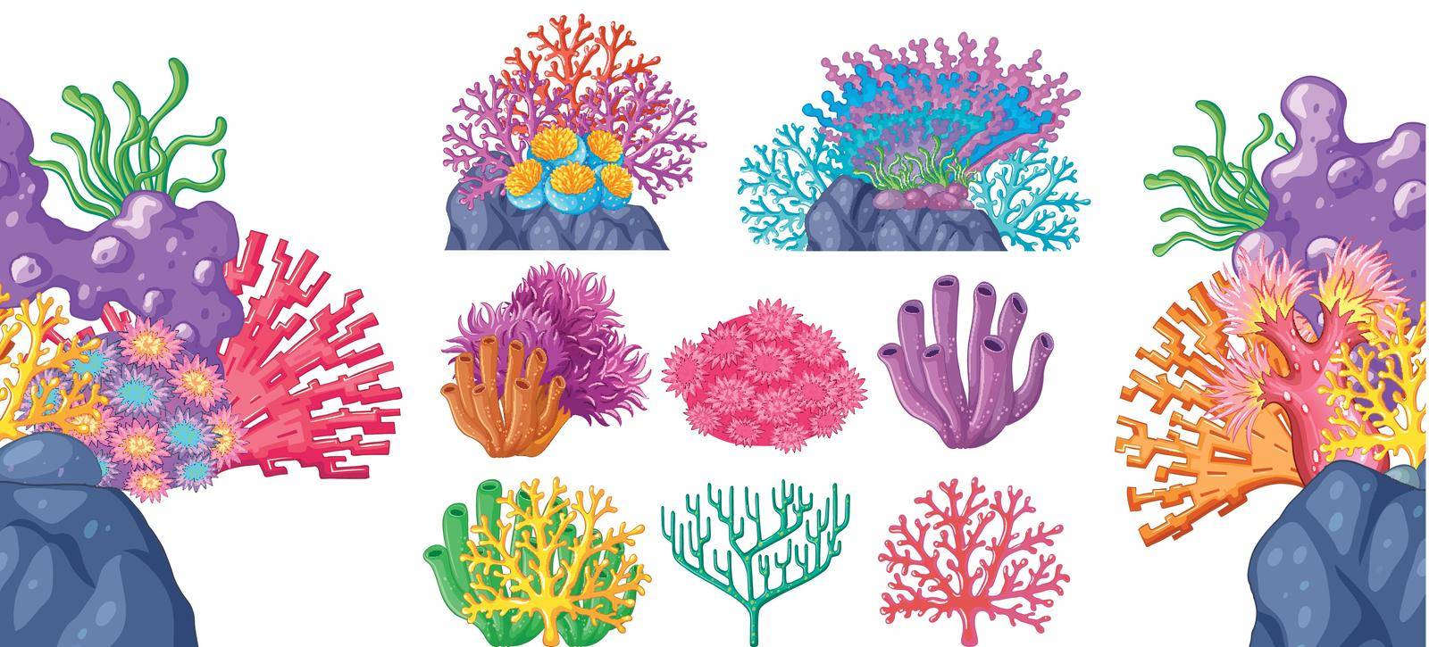 Different types of coral reef illustration