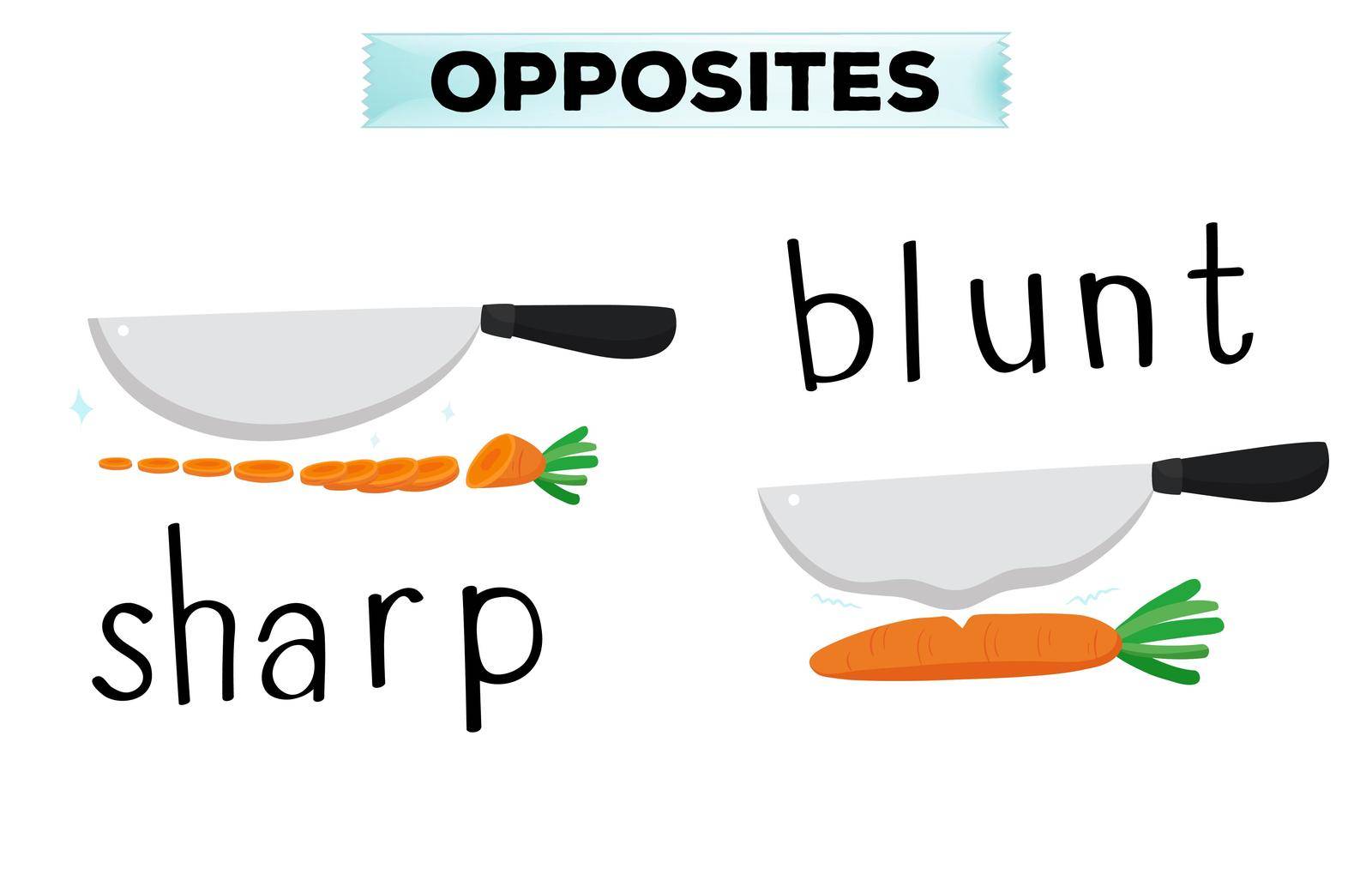 Opposite words for sharp and blunt by iimages