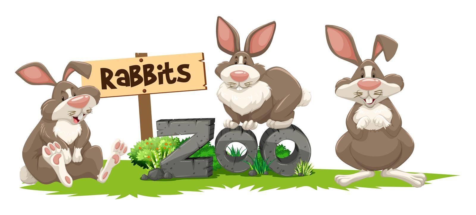 Three rabbits at the zoo sign illustration