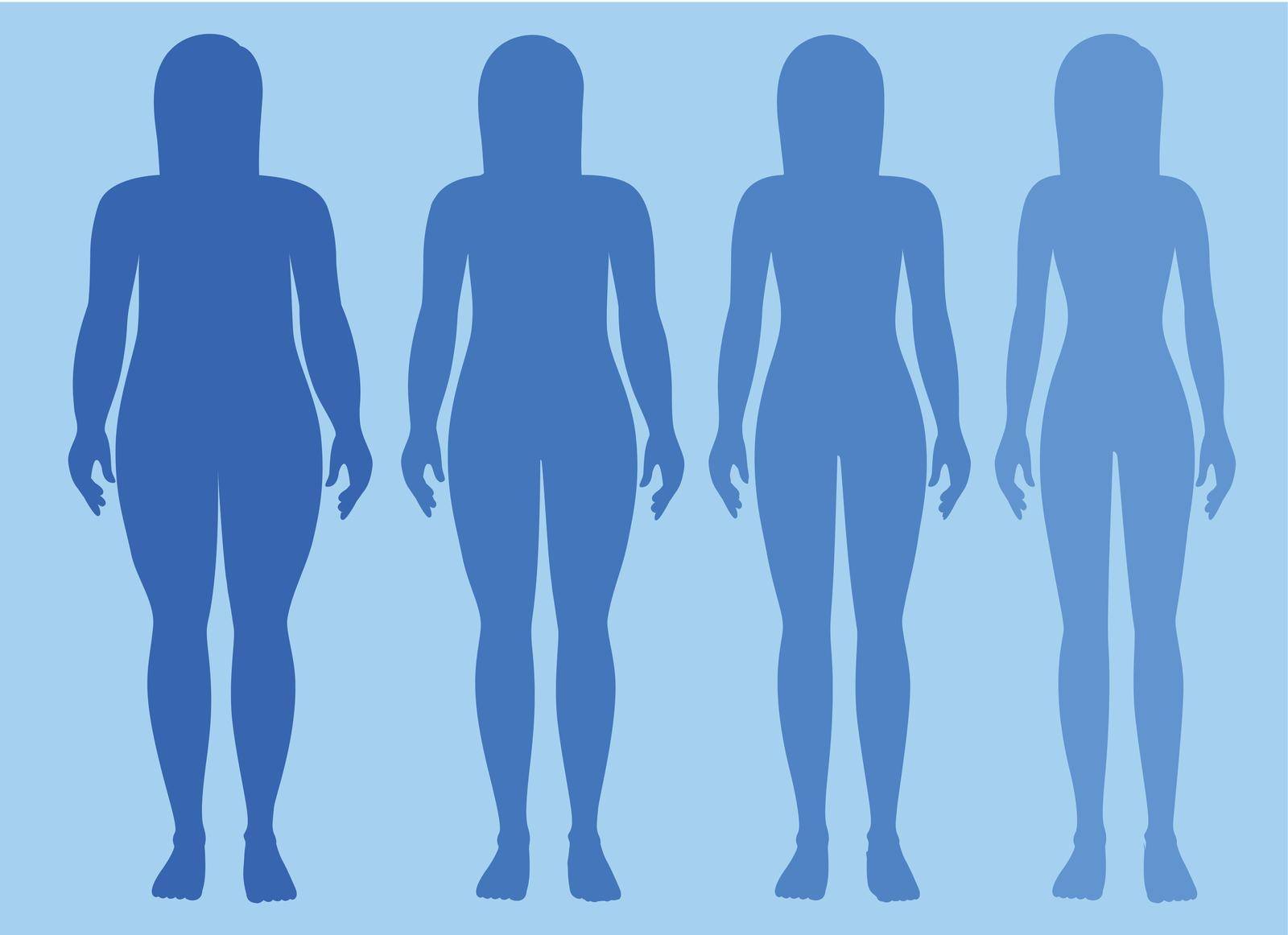 Female body obese to skinny illustration
