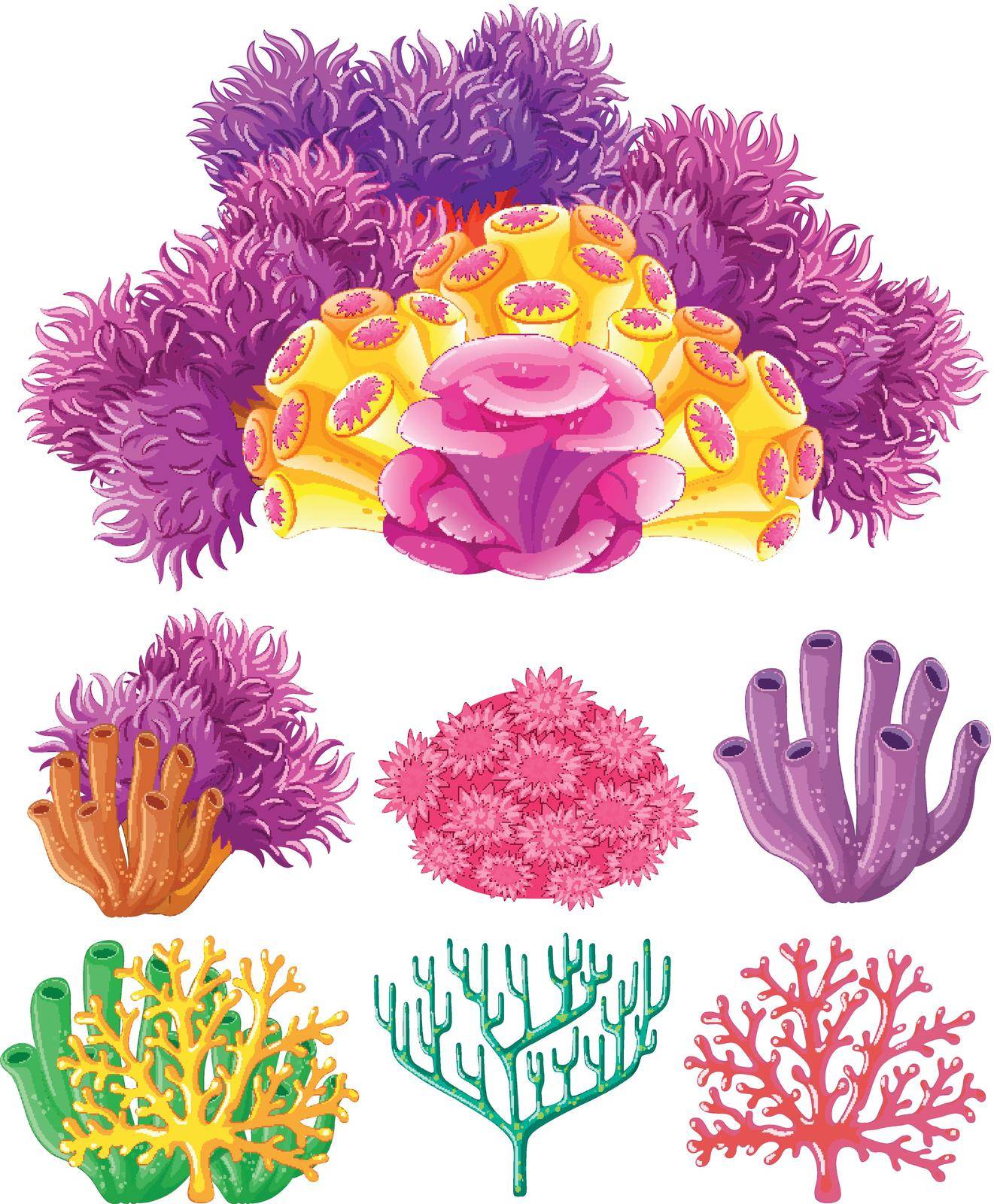 Coral reef on white background illustration