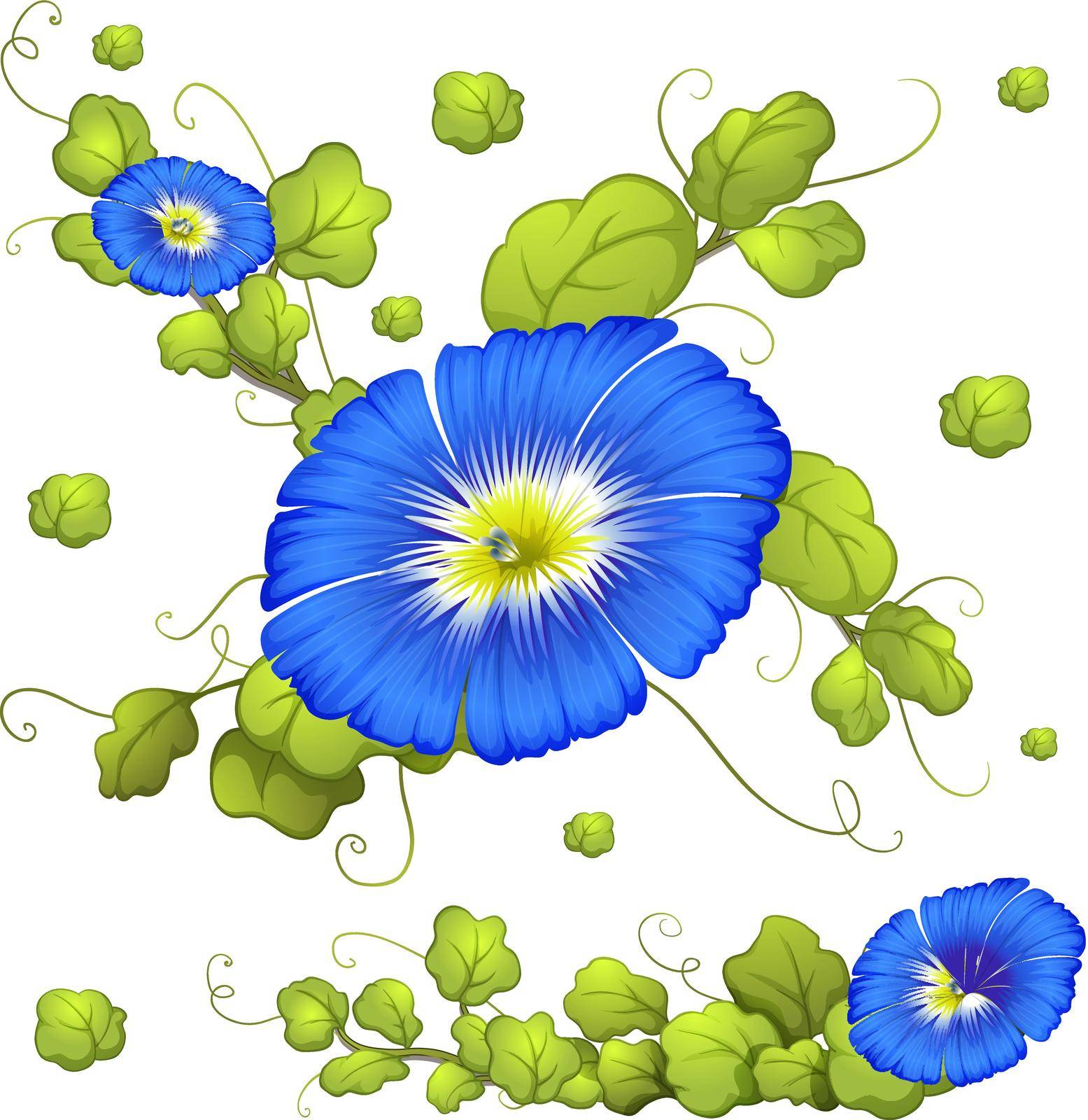 Seamless background with blue morning glory flowers illustration
