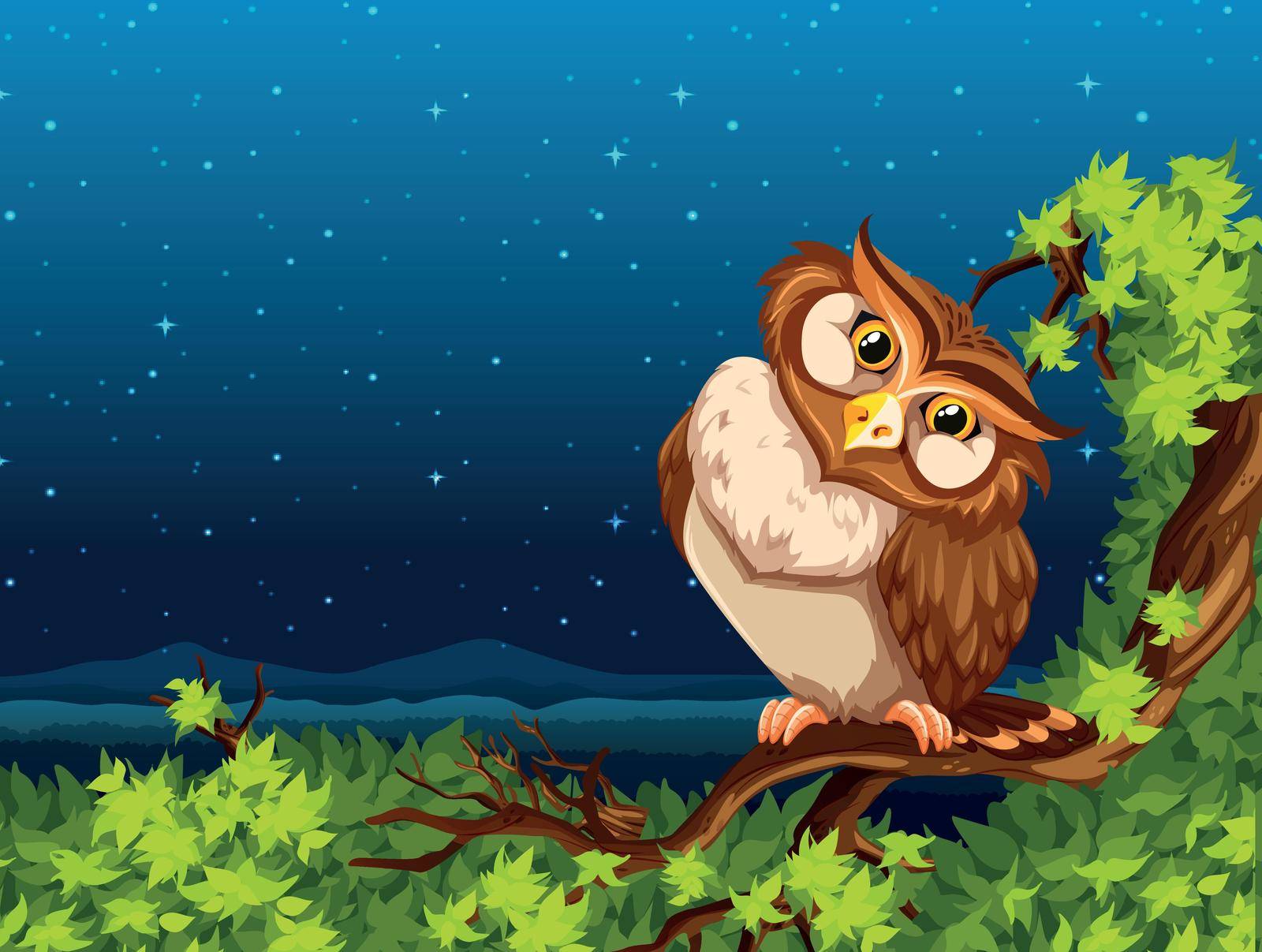A owl at night illustration