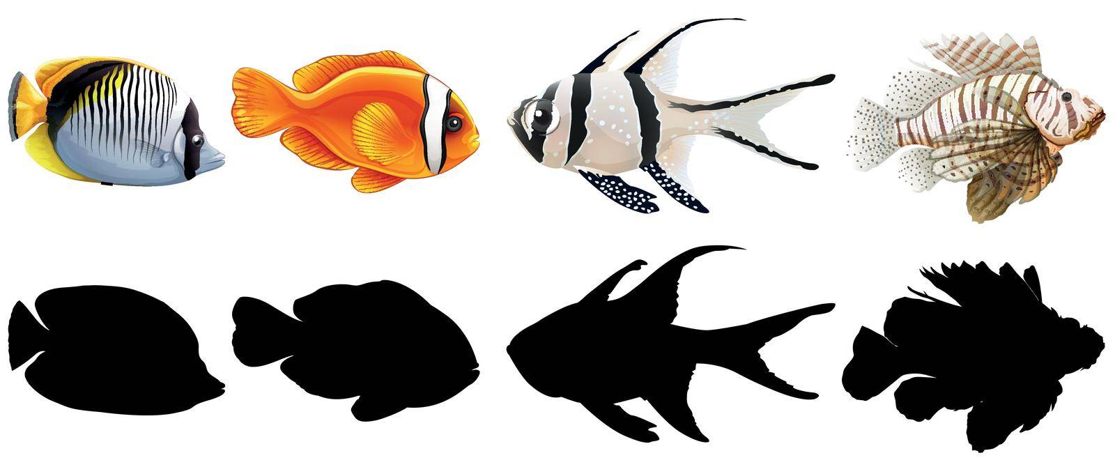 Set of saltwater Fish illustration