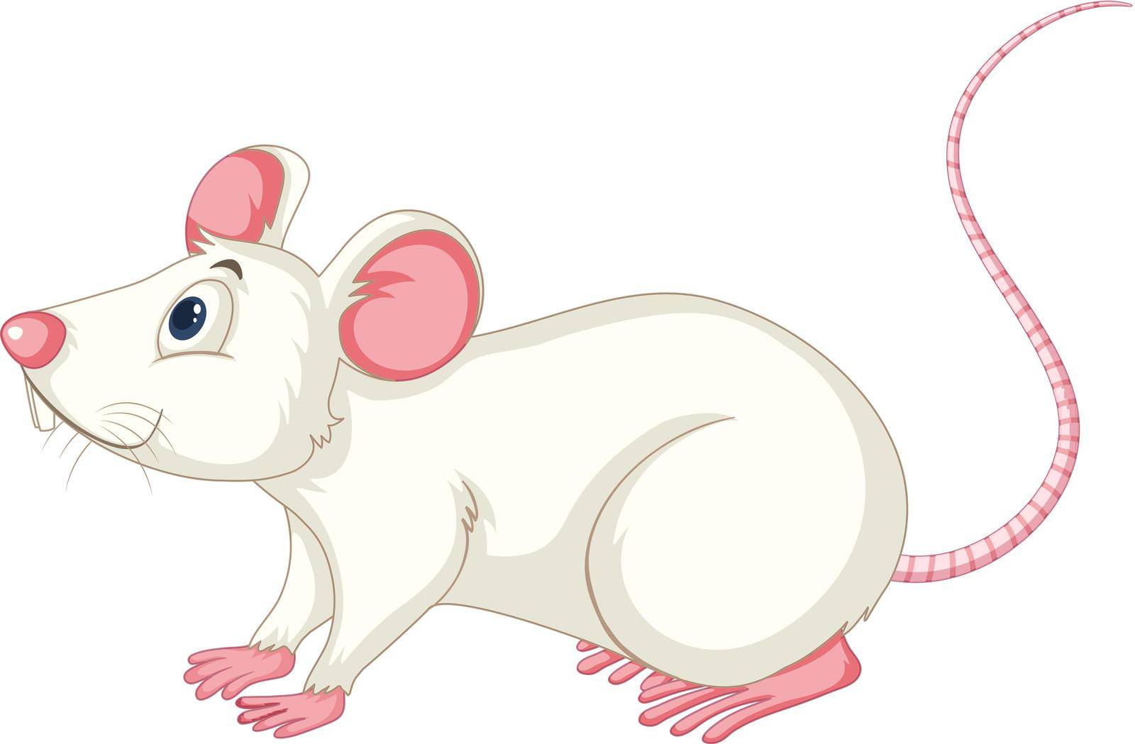 White rat on white background illustration