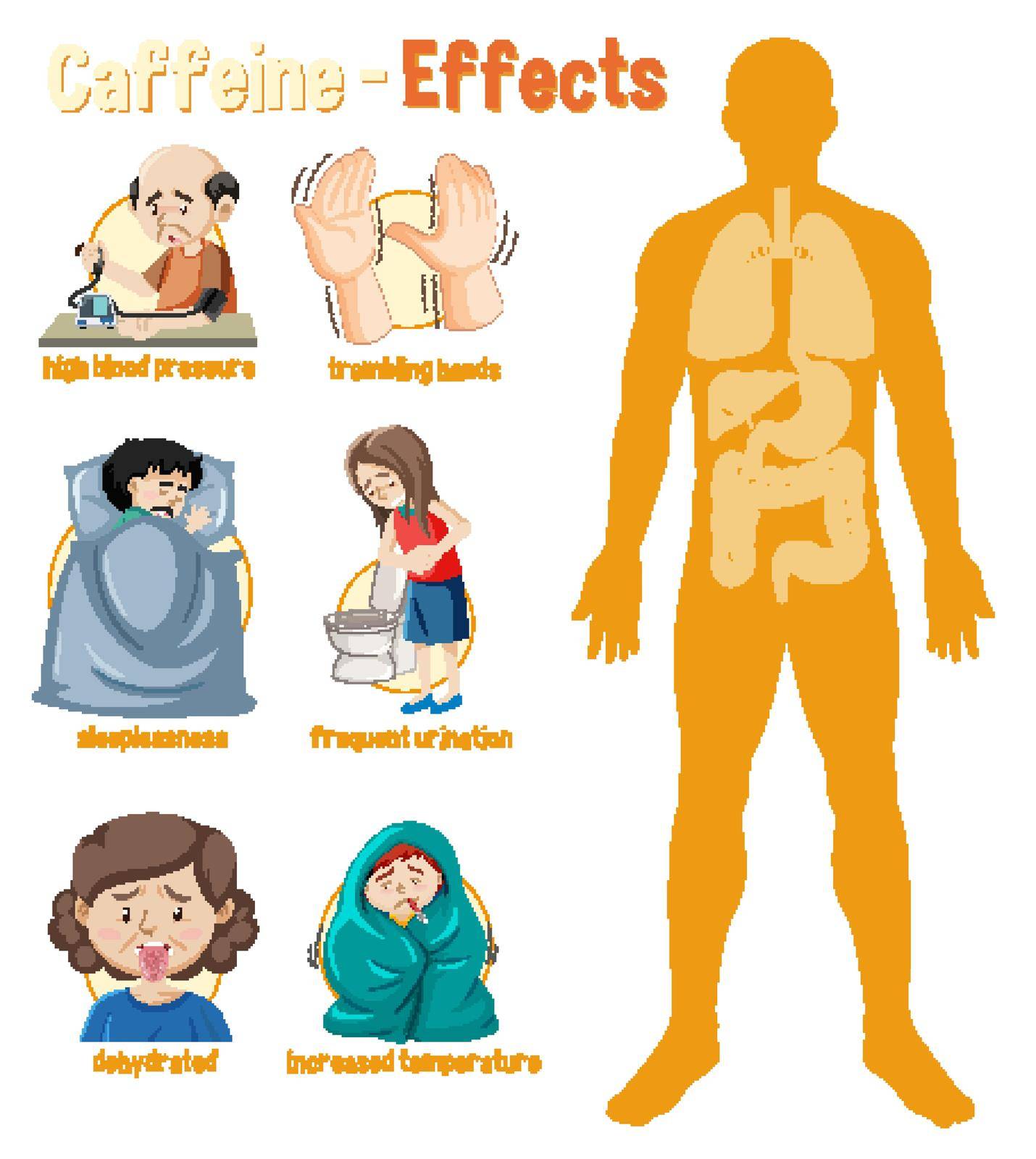 Health effects of Caffeine Infographic illustration
