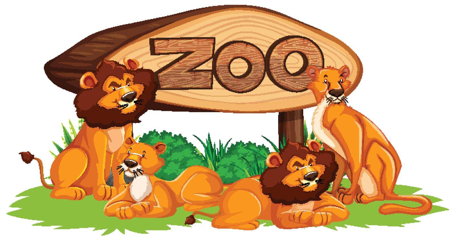 Lion with zoo sign isolated illustration