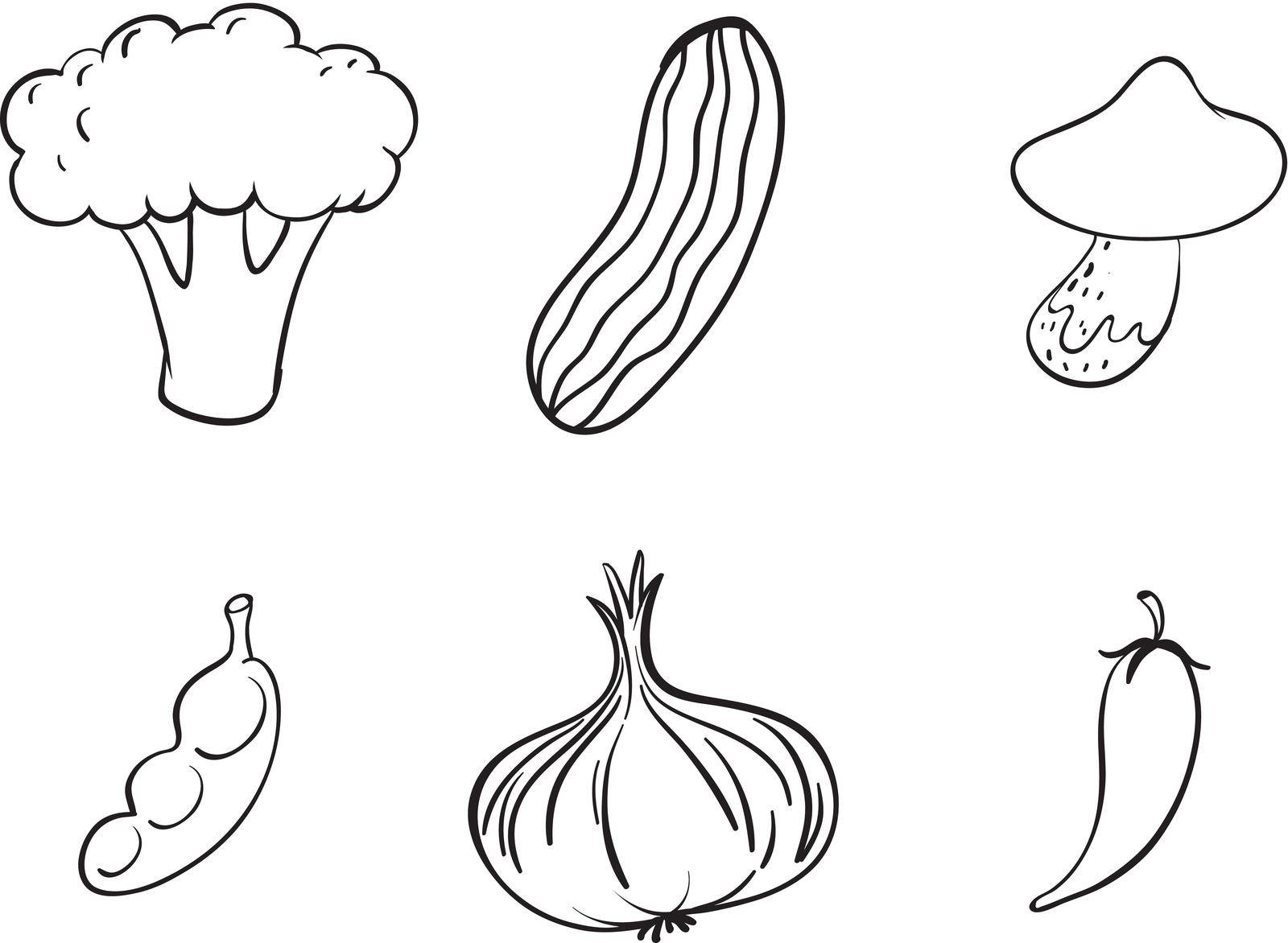 detailed illustration on various vegetables on a white background
