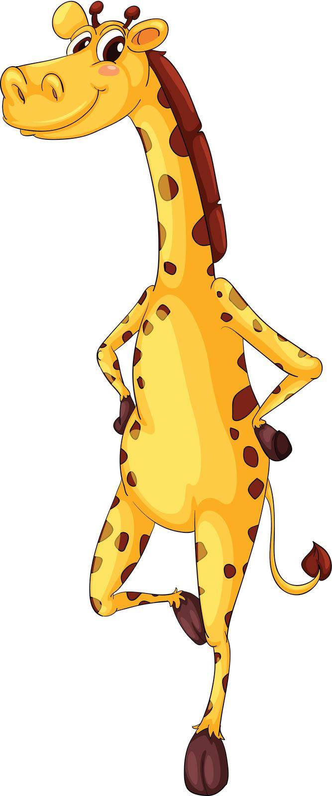 Cute giraffe by iimages