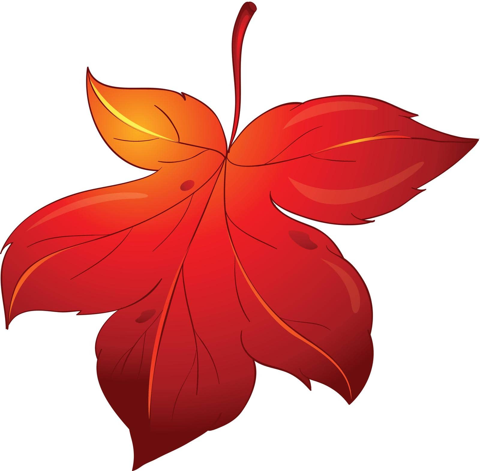 illustration of colorful leaf on a white background
