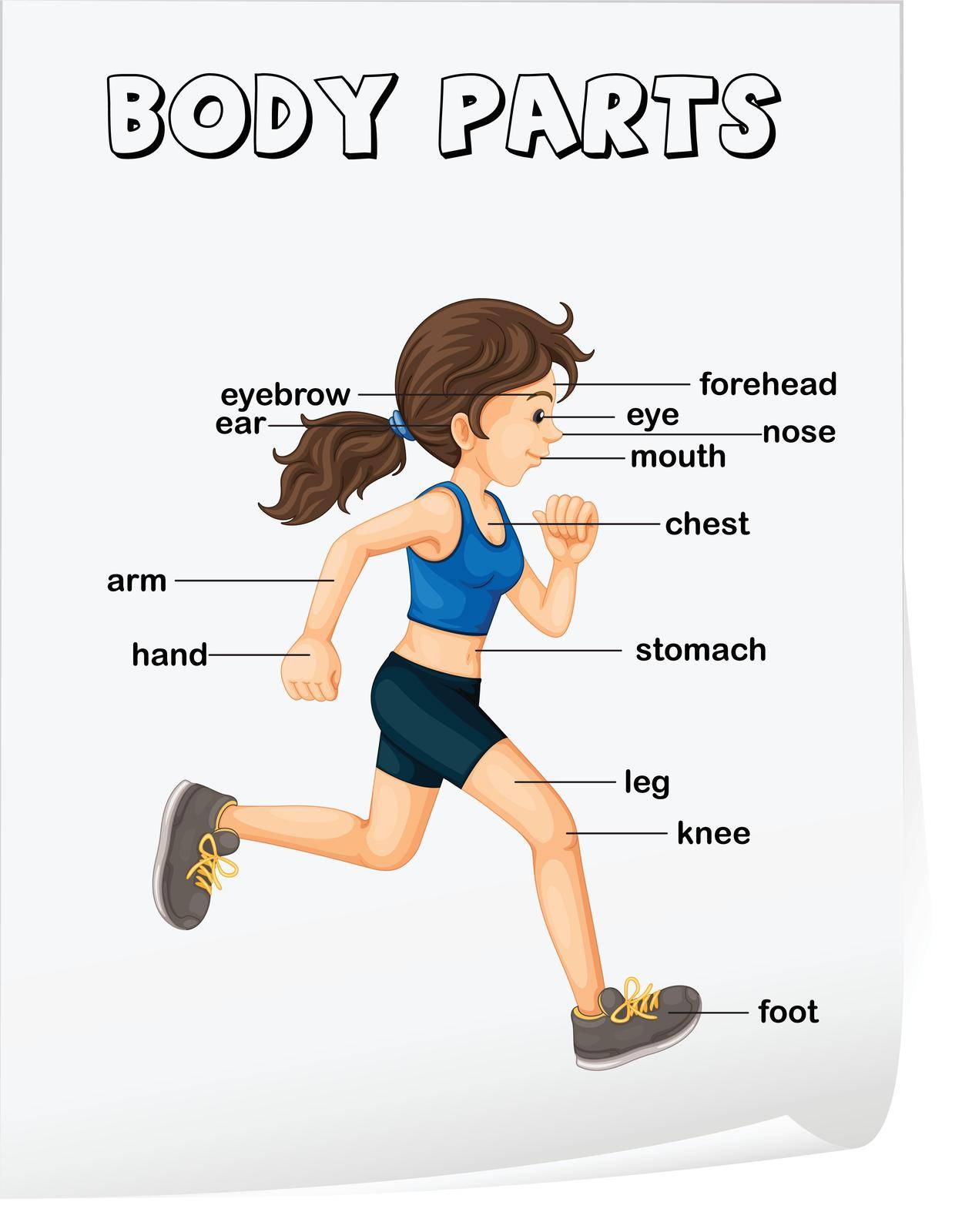 Illustration of girl running with parts labelled