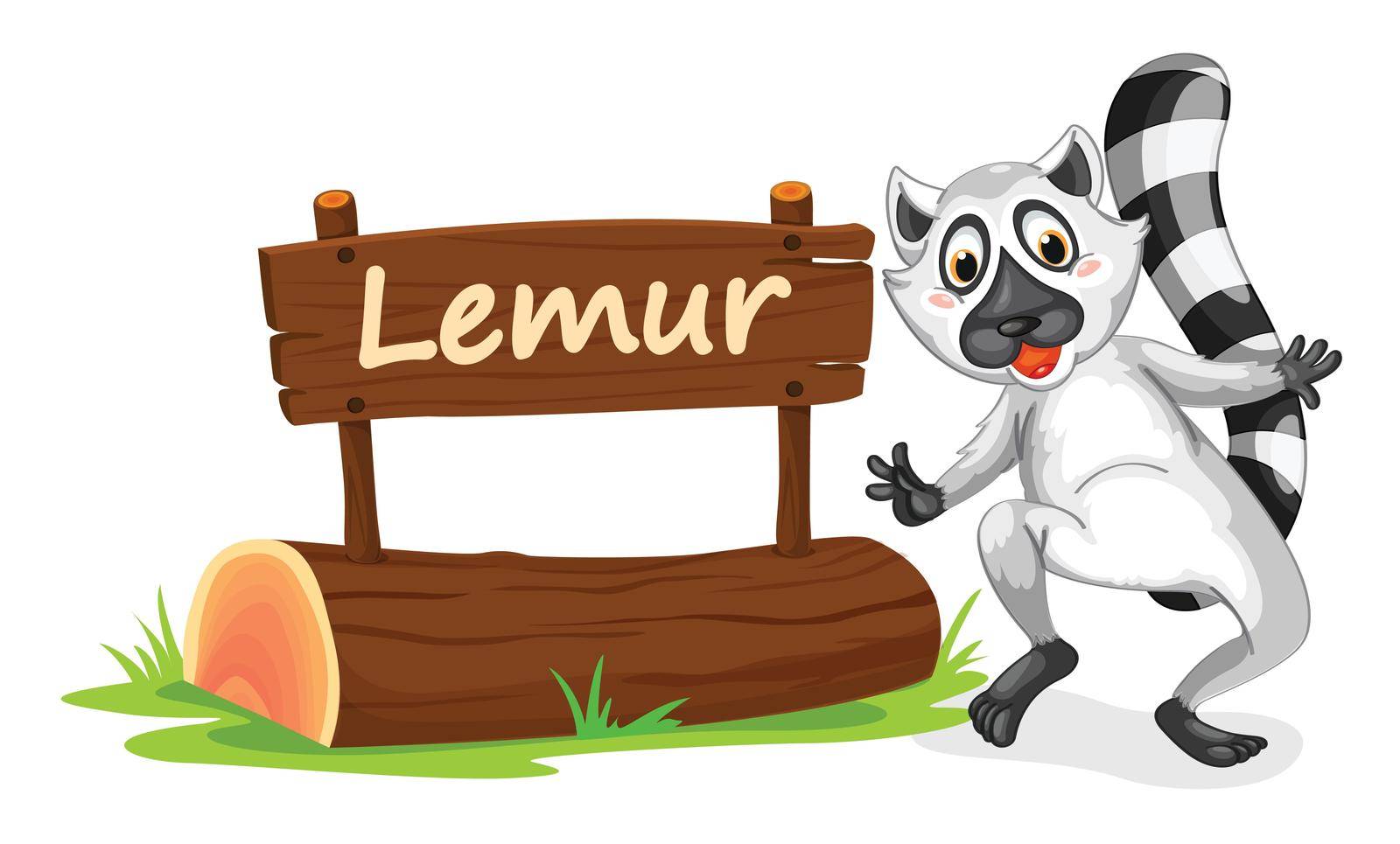 illustration of Lemur and name plate on a white