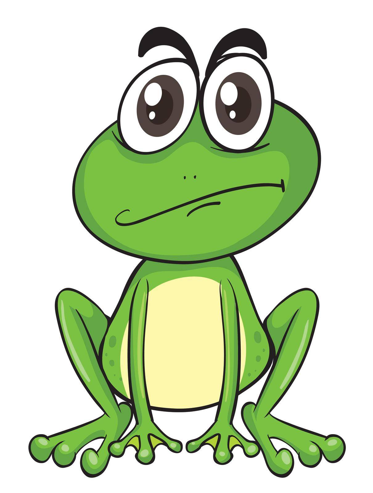 illustration of a frog on a white background
