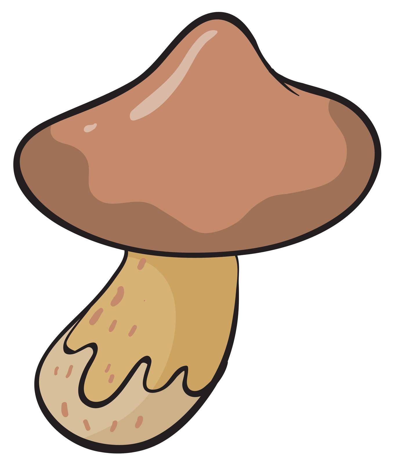 illustration of a mushroom on a white background