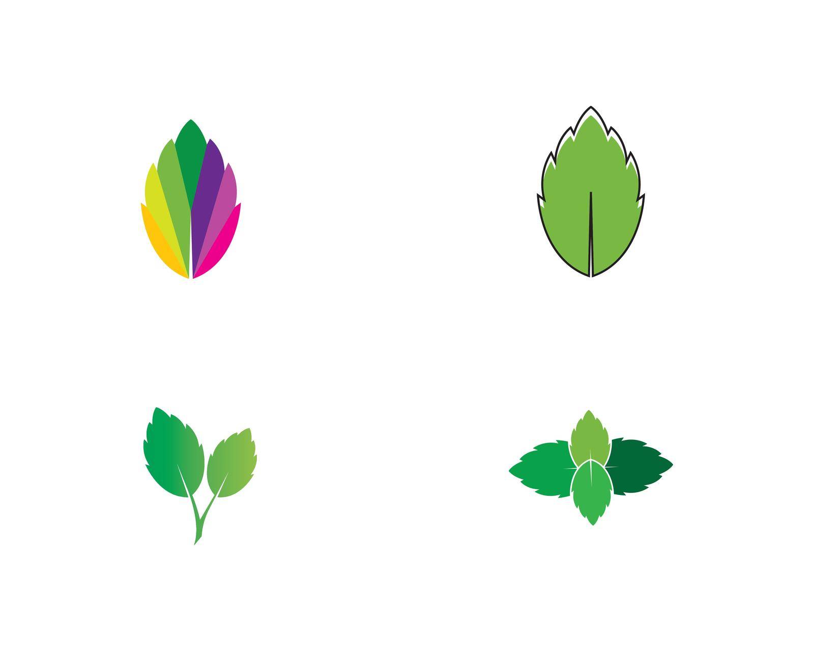 papermint leaf illustration vector by idan