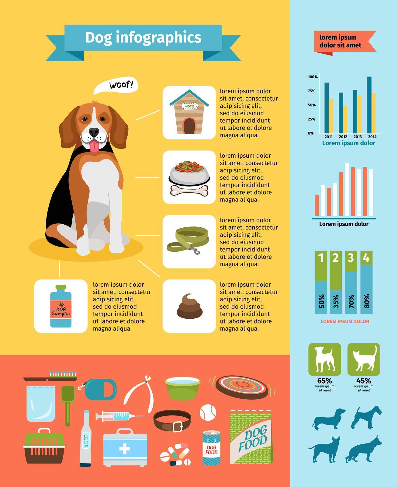 Vecto dog infographics, dog food and kennel, veterinary and grooming, dog collar and dog shows