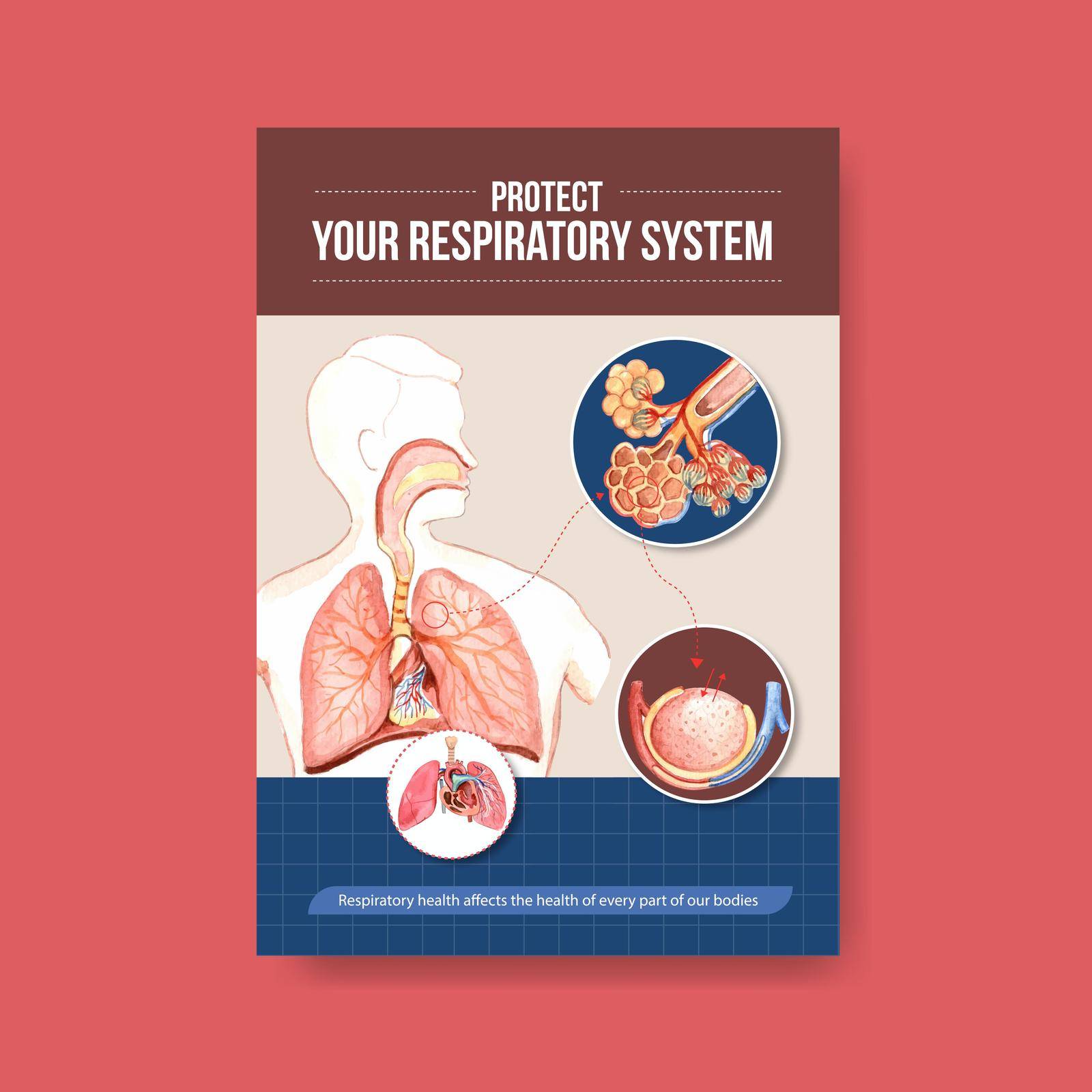 information about anatomy of the respiratory system and understanding an essential system by Photographeeasia