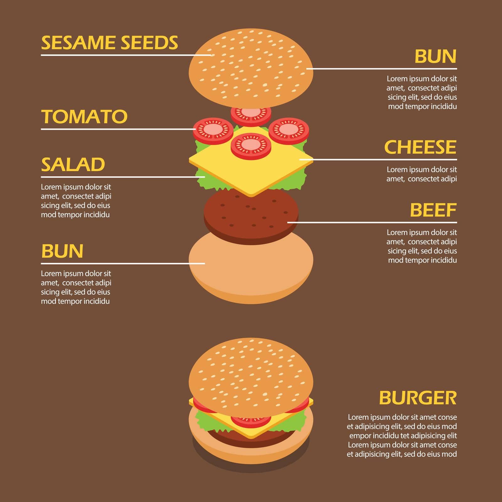 Isometric of Burger ingredients infographic by siraanamwong