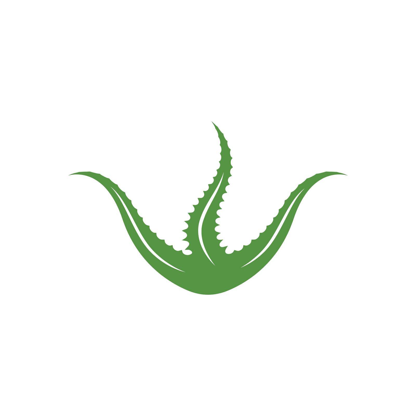 aloevera logo icon vector illustration design by idan