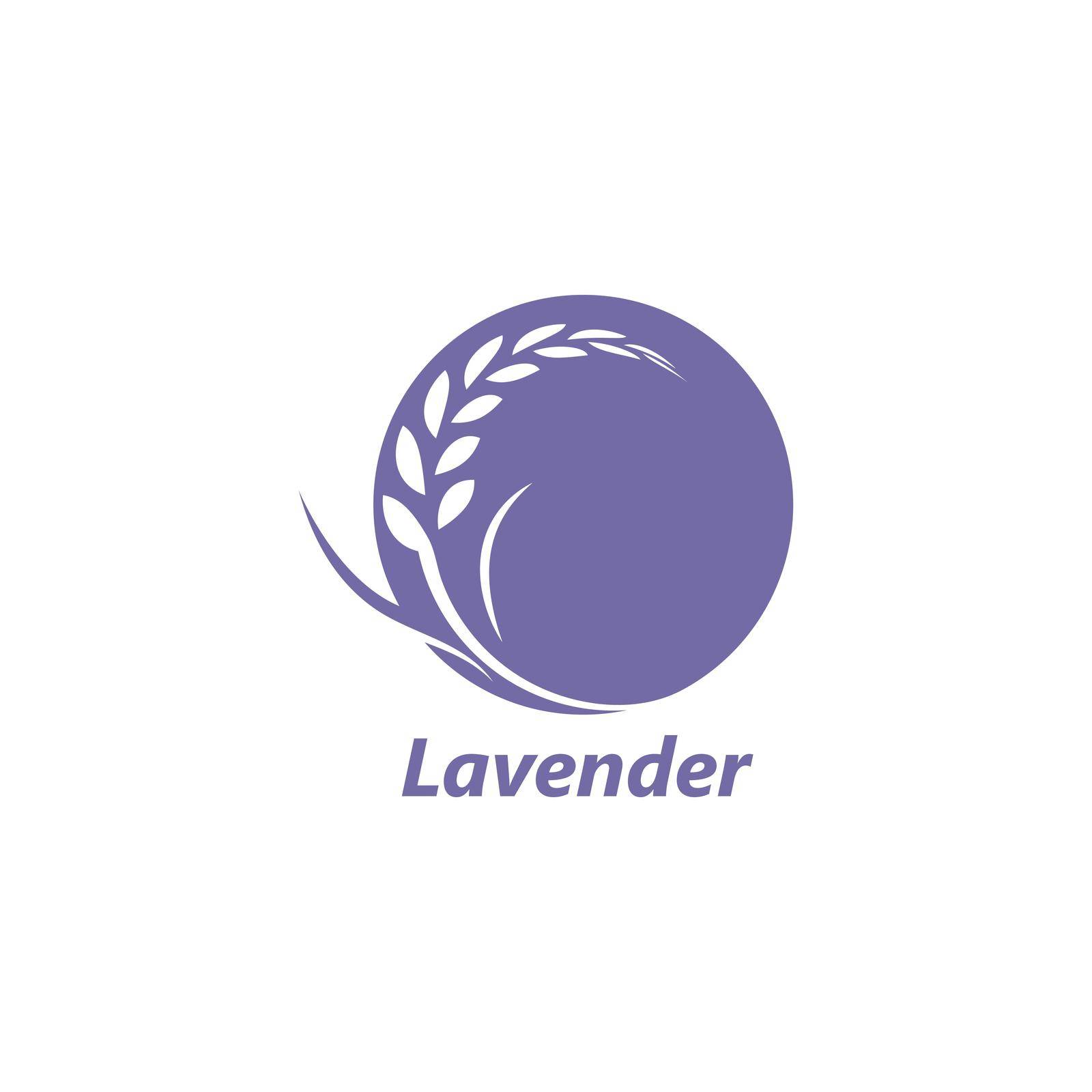 lavender flower vector illustration design template
