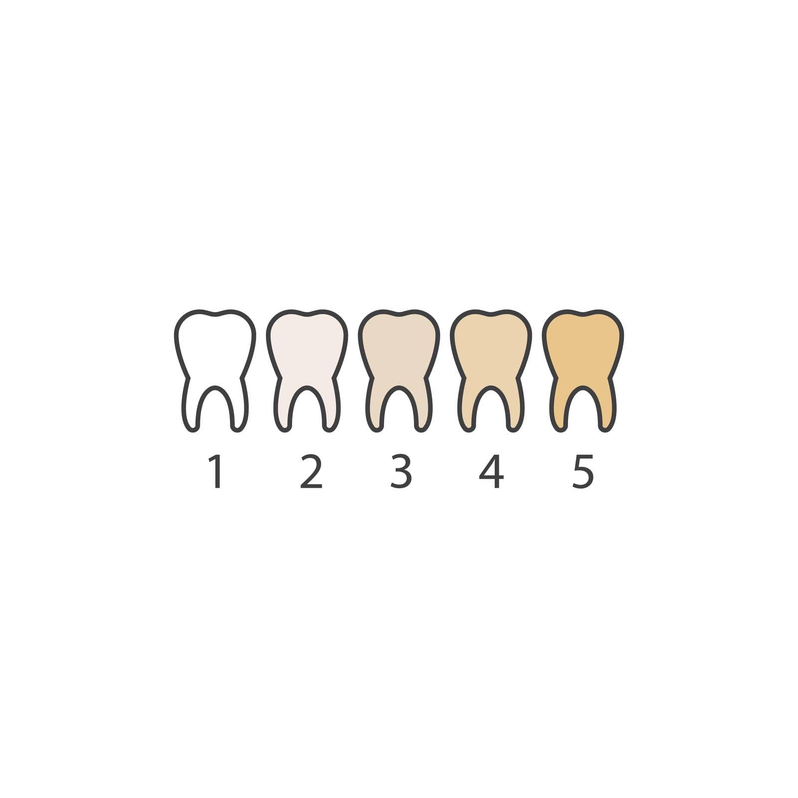 tooth color level vector illustration design