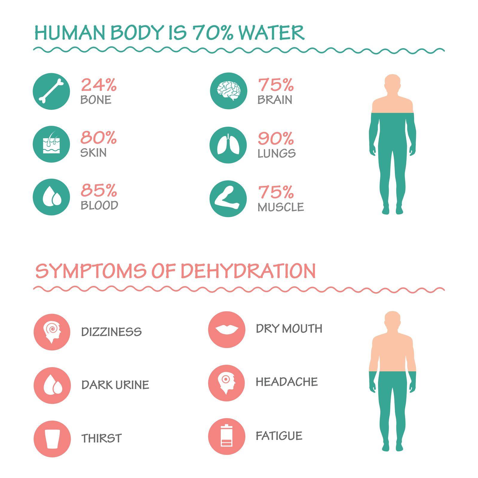Benefits of drinking water vector illustration, Dehydration symptoms infographic.