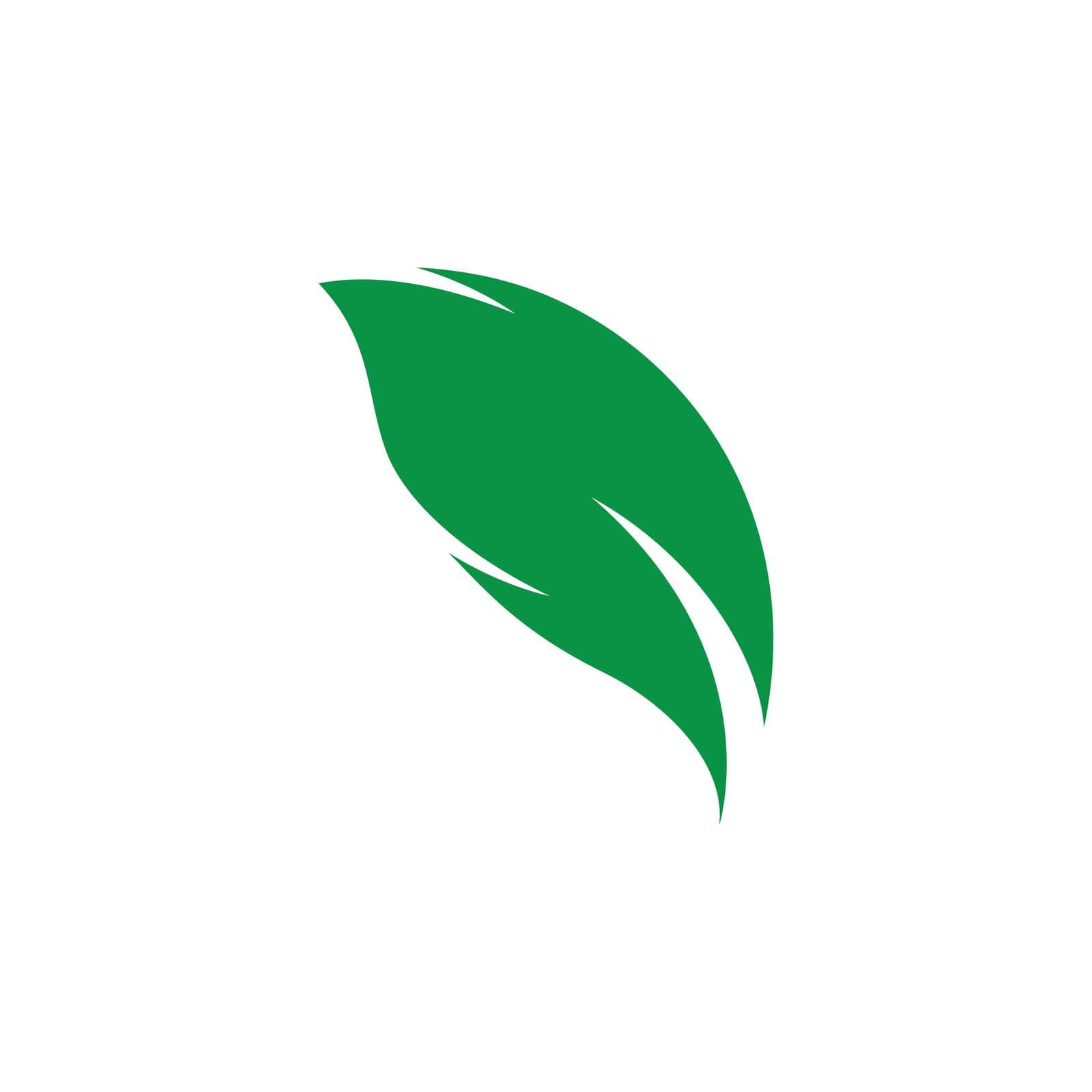 Leaf symbol vector icon by Fat17